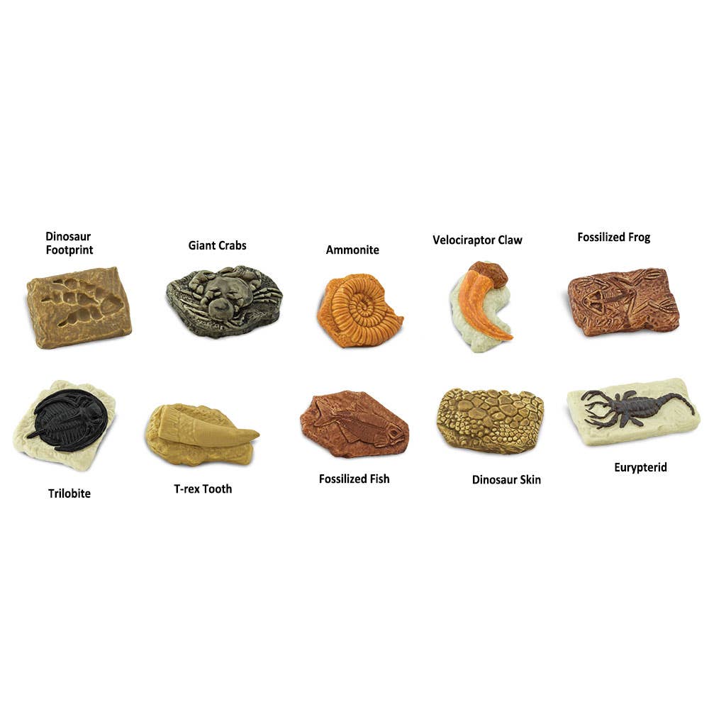 Safari Ltd. - Ancient Fossils TOOB® - 684804