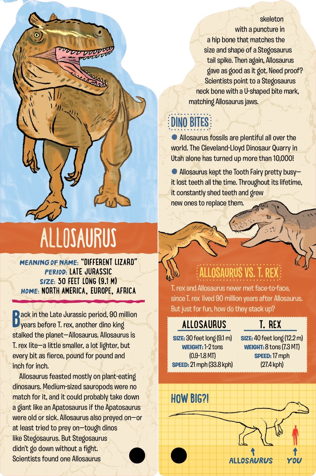 FANDEX Family Field Guides