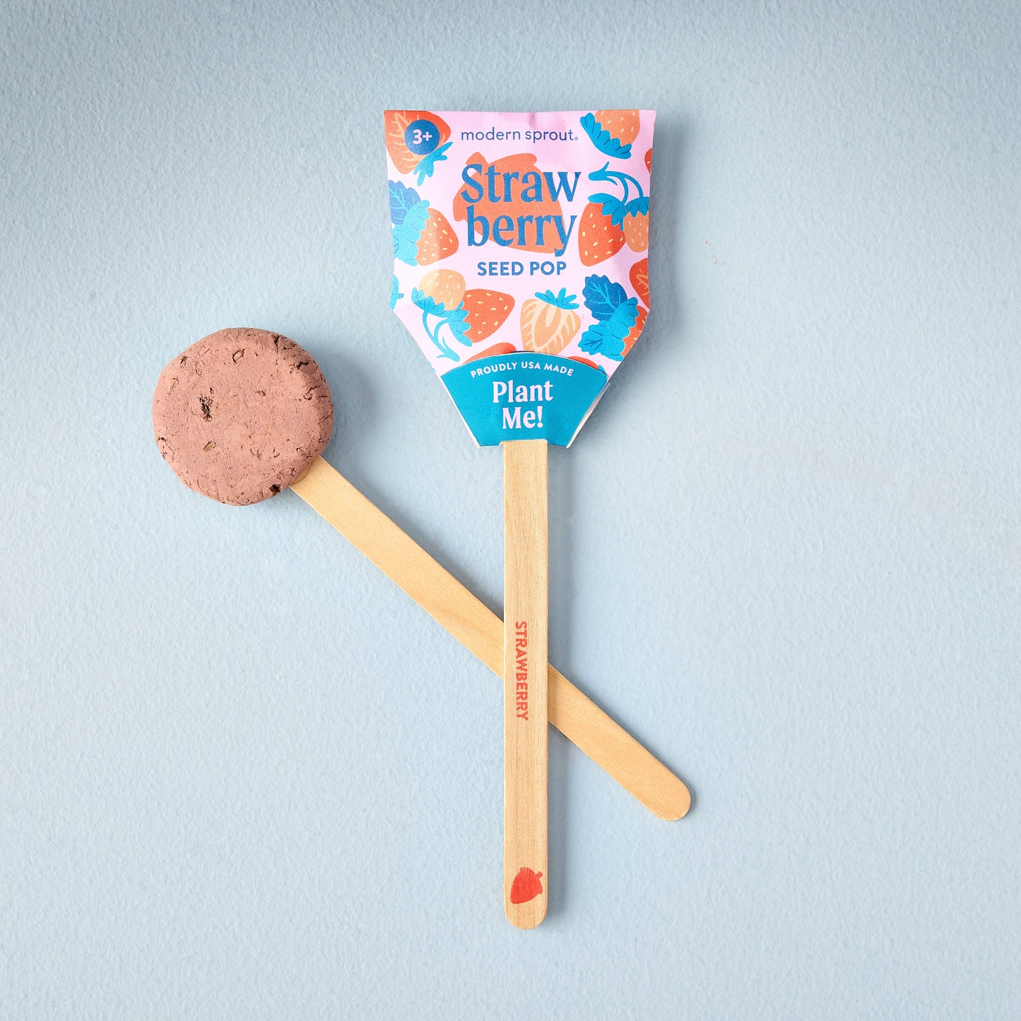 Modern Sprout - NEW Garden Seed Pops