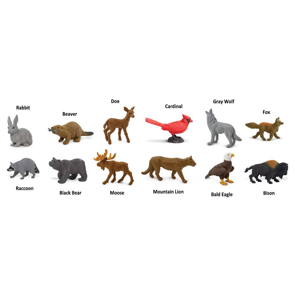 Safari Ltd. - Nature TOOB® - 685804