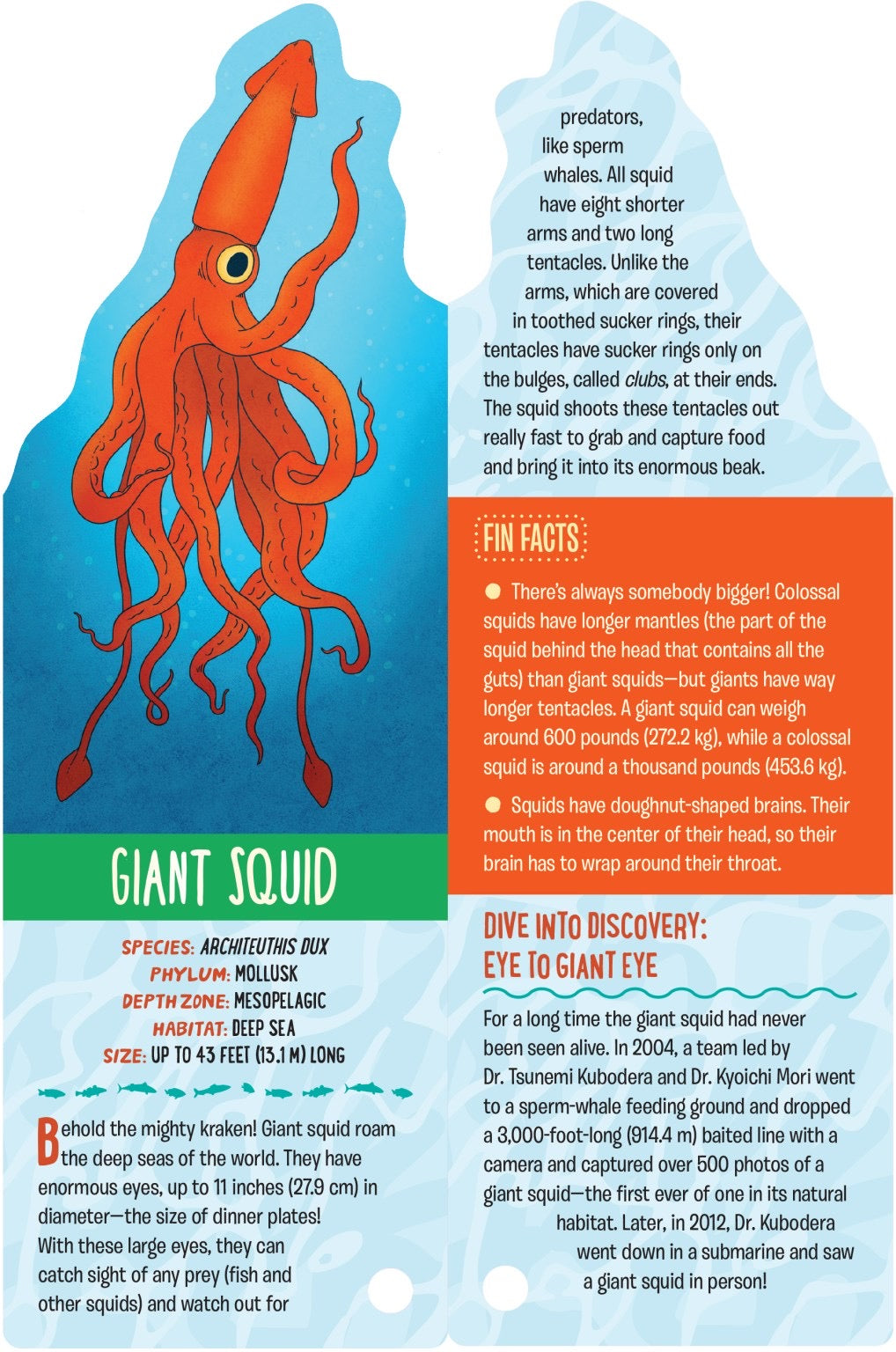 FANDEX Family Field Guides