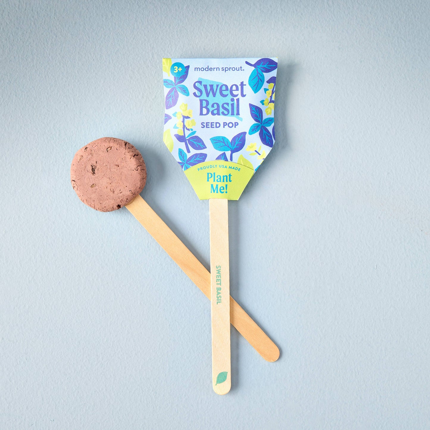 Modern Sprout - NEW Garden Seed Pops