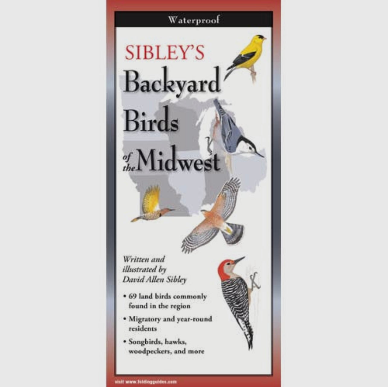 Field Guides by Earth, Sky, + Water