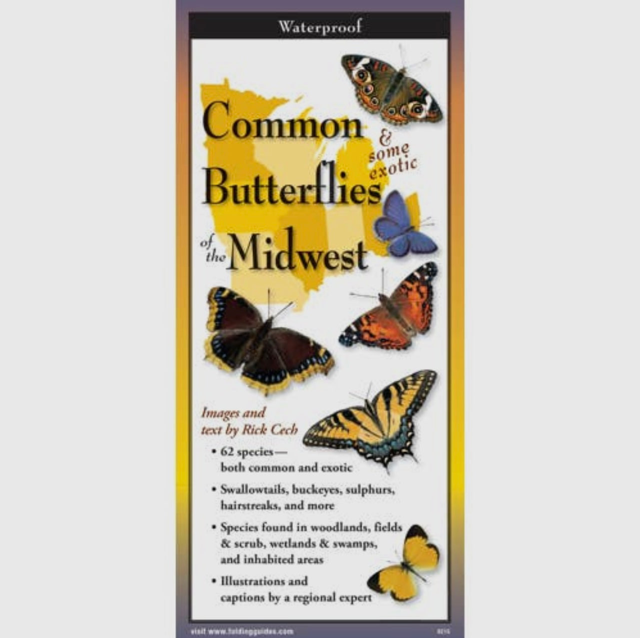 Field Guides by Earth, Sky, + Water