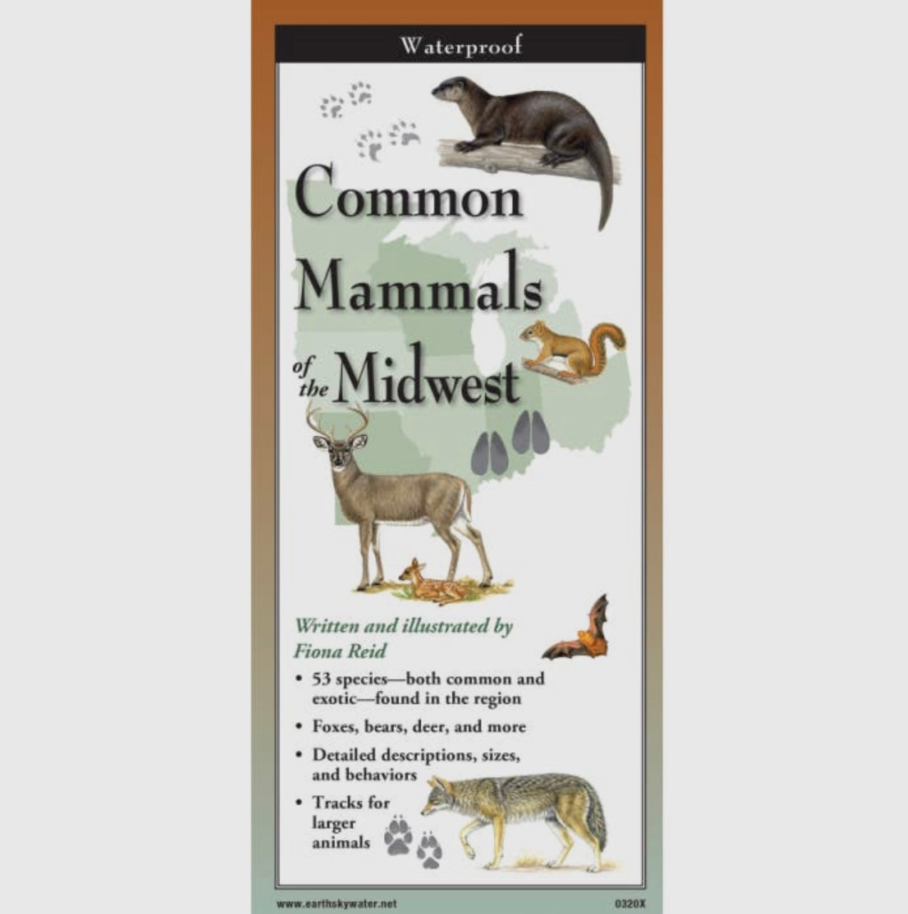 Field Guides by Earth, Sky, + Water