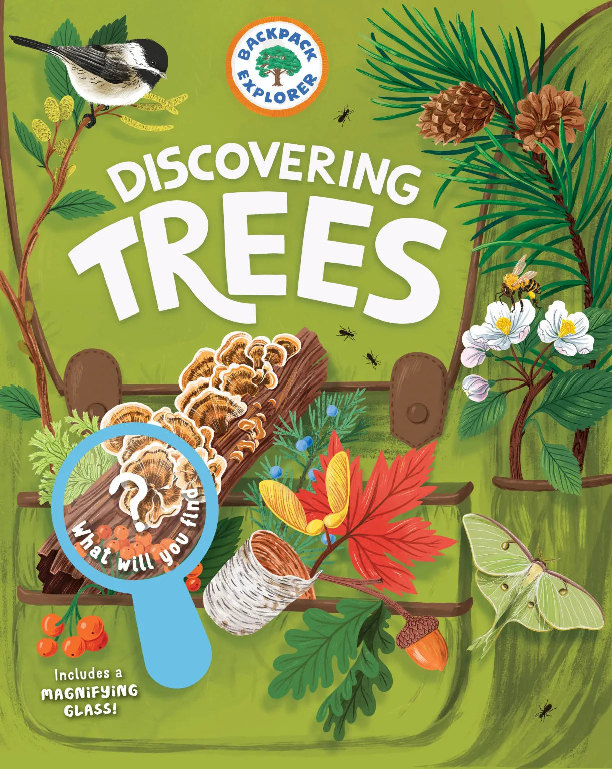 Backyard Explorer Books
