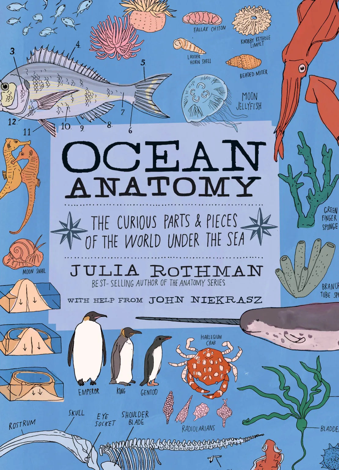 Julia Rothman Nature Series
