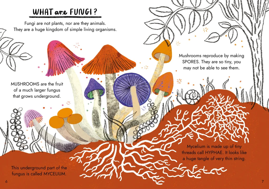 Hello Fungi