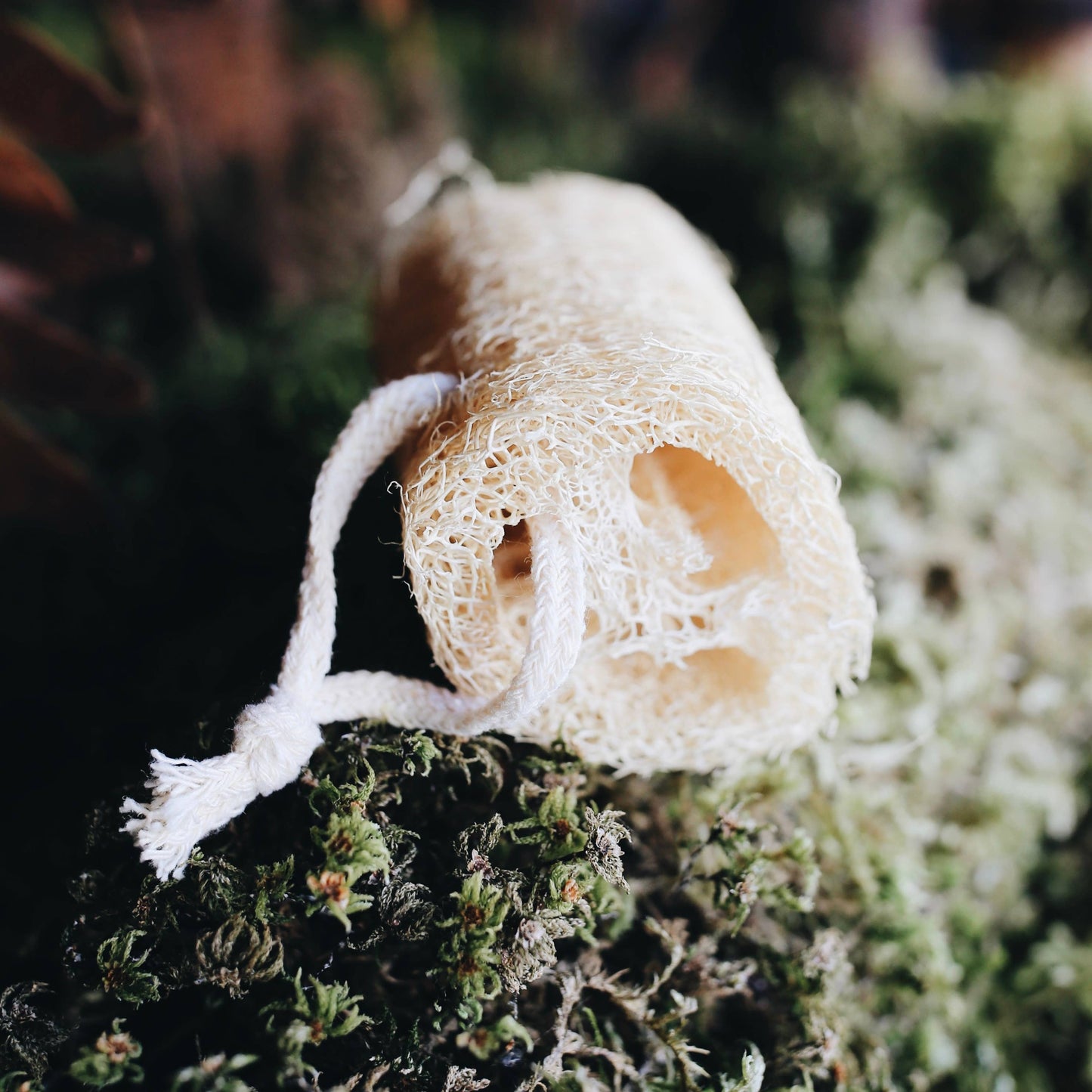 Kindred Homestead Supply - Natural Loofah Sponge
