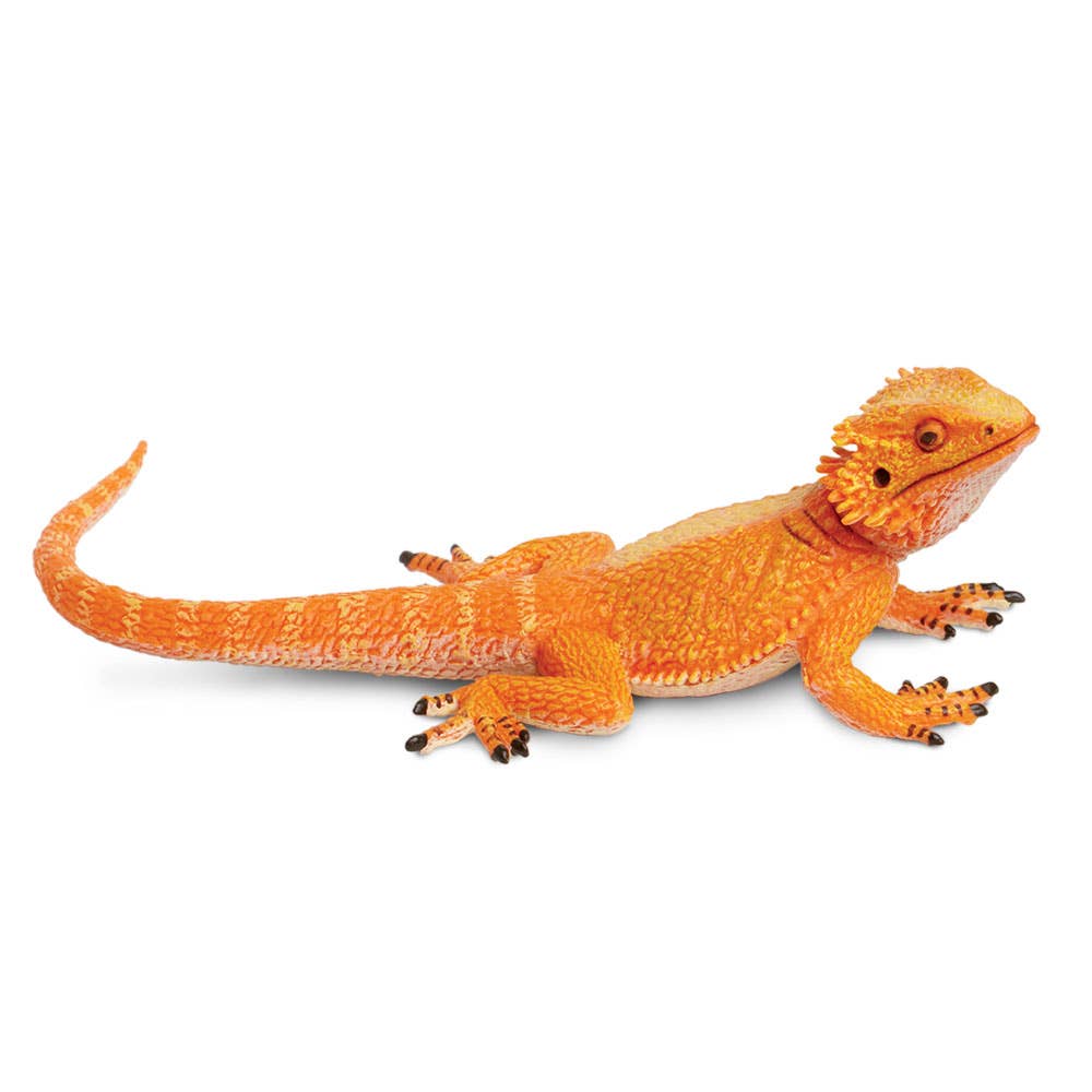 Safari Ltd. - Bearded Dragon - 263129