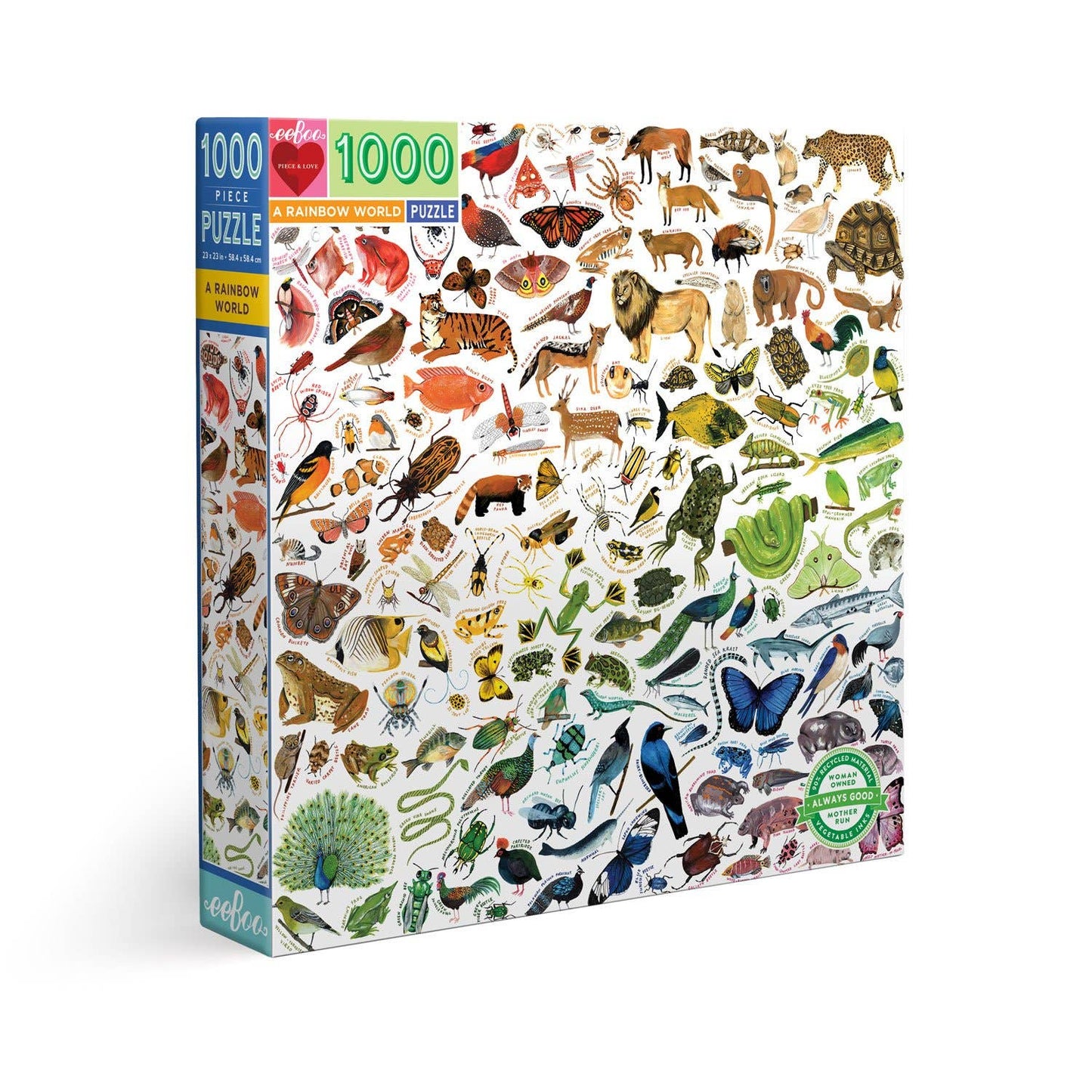eeBoo - A Rainbow World 1000 Piece Puzzle