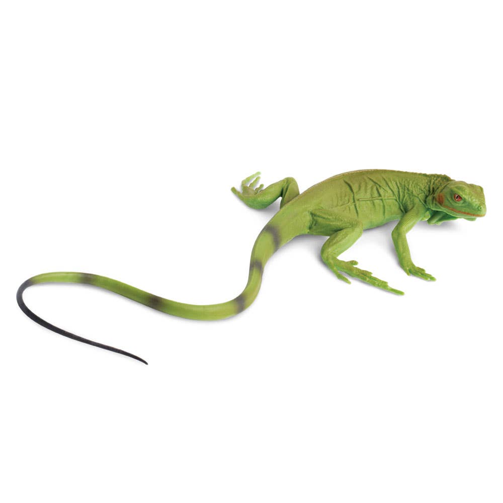 Safari Ltd. - Iguana Baby - 258329