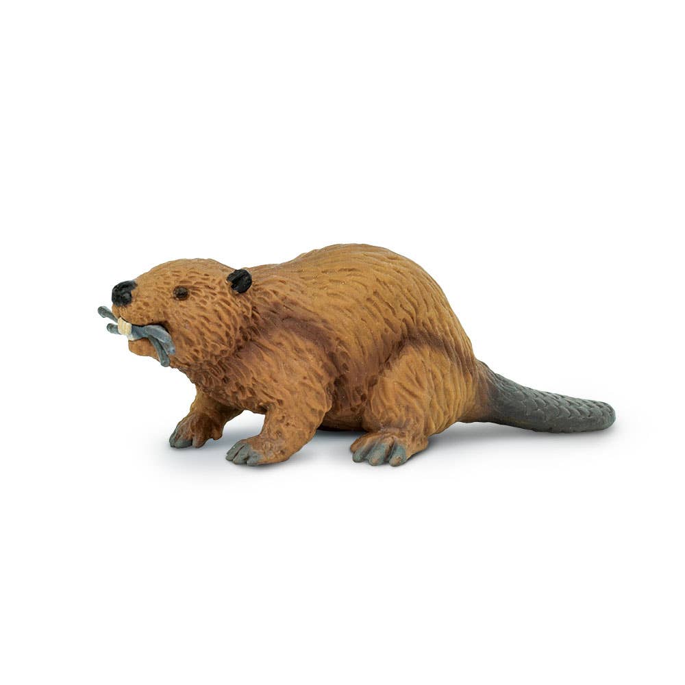 Safari Ltd. - Beaver - 283629