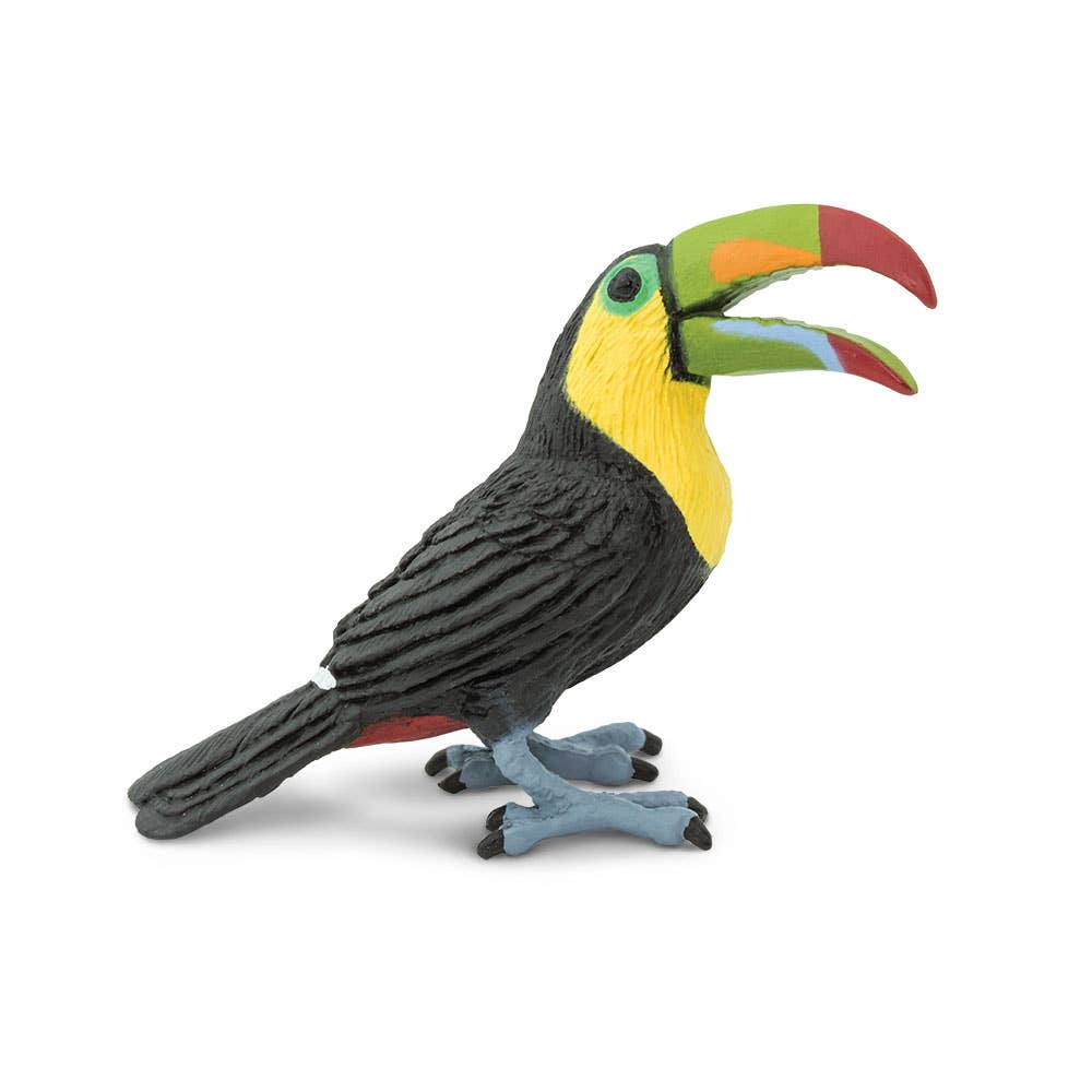 Safari Ltd. - Toucan - 264129