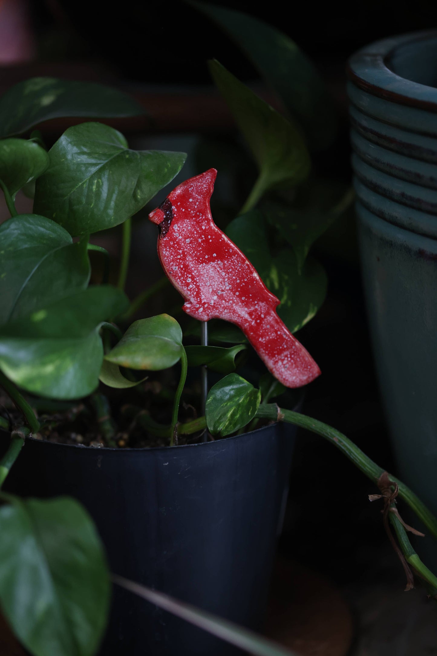 Mud & Maker - Plant Buddies - Cardinal | Bird
