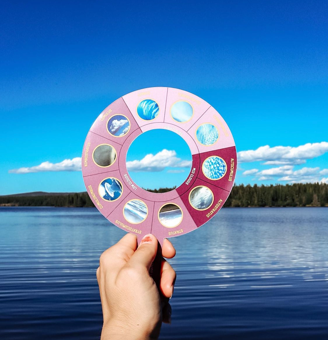 Wild Life Outdoor Adventures - Cloud Identification Tool