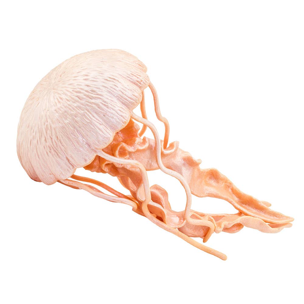 Safari Ltd. - Jellyfish - 265529