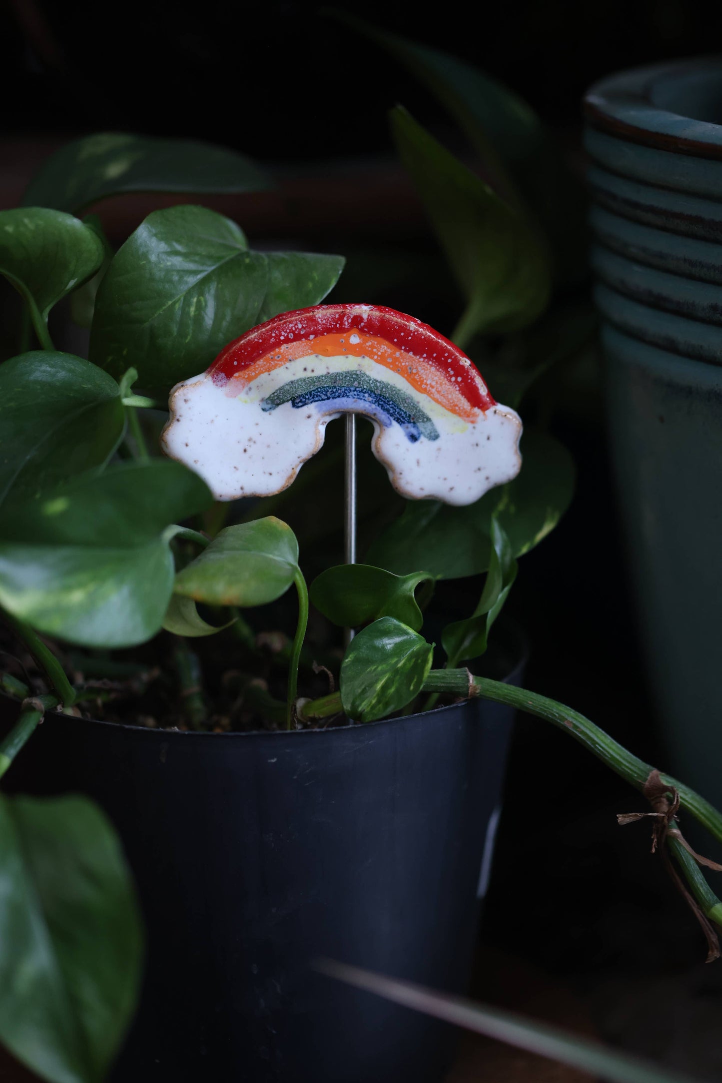 Mud & Maker - Plant Buddies - Rainbow