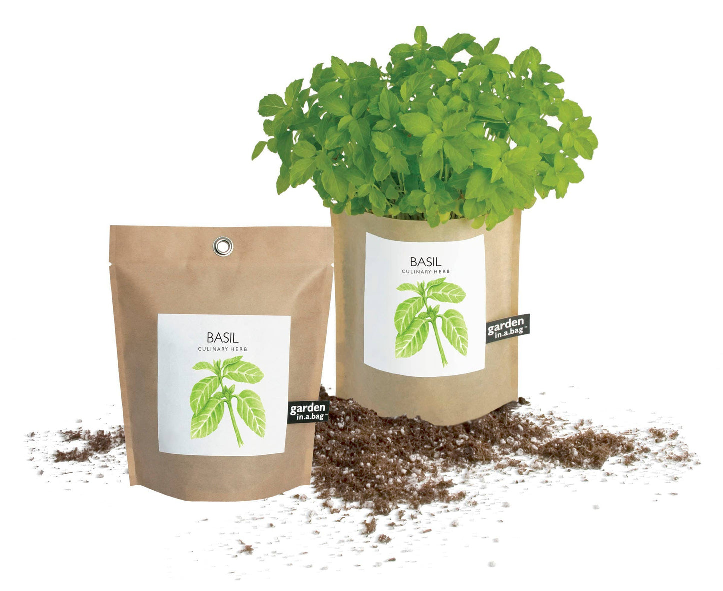 Potting Shed Creations, Ltd. - Garden in a Bag | Basil