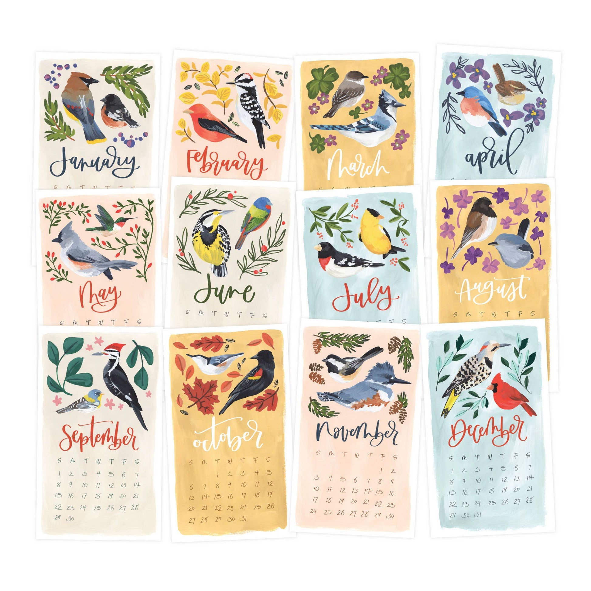 2024 Stump Calendar Feathered Friends Birds Camp the Backyard