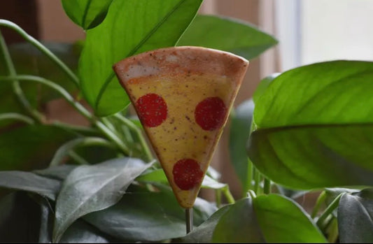 Mud & Maker- Plant Buddies - Slice of Pizza