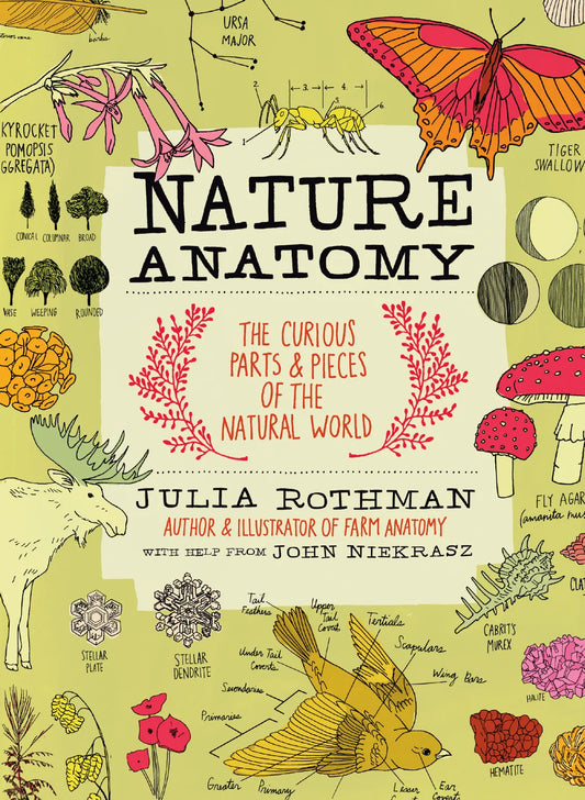 Julia Rothman Nature Series