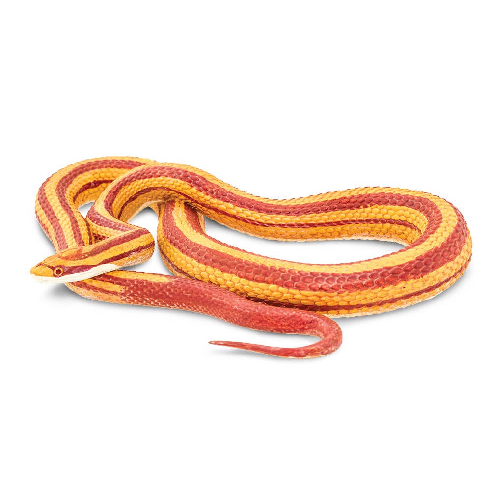 Safari Ltd. - Corn Snake - 100073