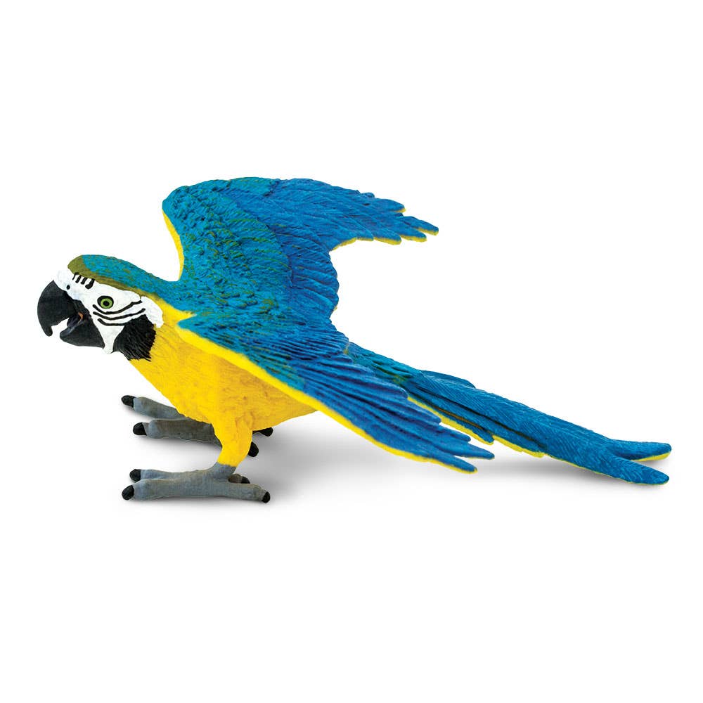 Safari Ltd. - Blue & Gold Macaw - 264029