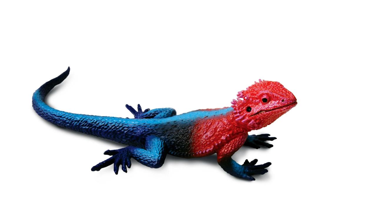 Safari Ltd. - Mwanza Flat-Headed Rock Agama - 101081