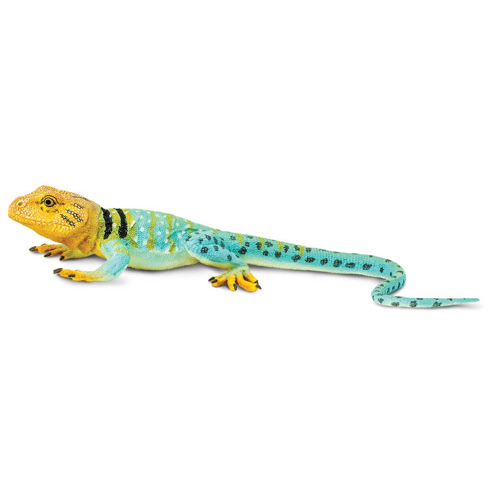 Safari Ltd. - Collared Lizard - 271029