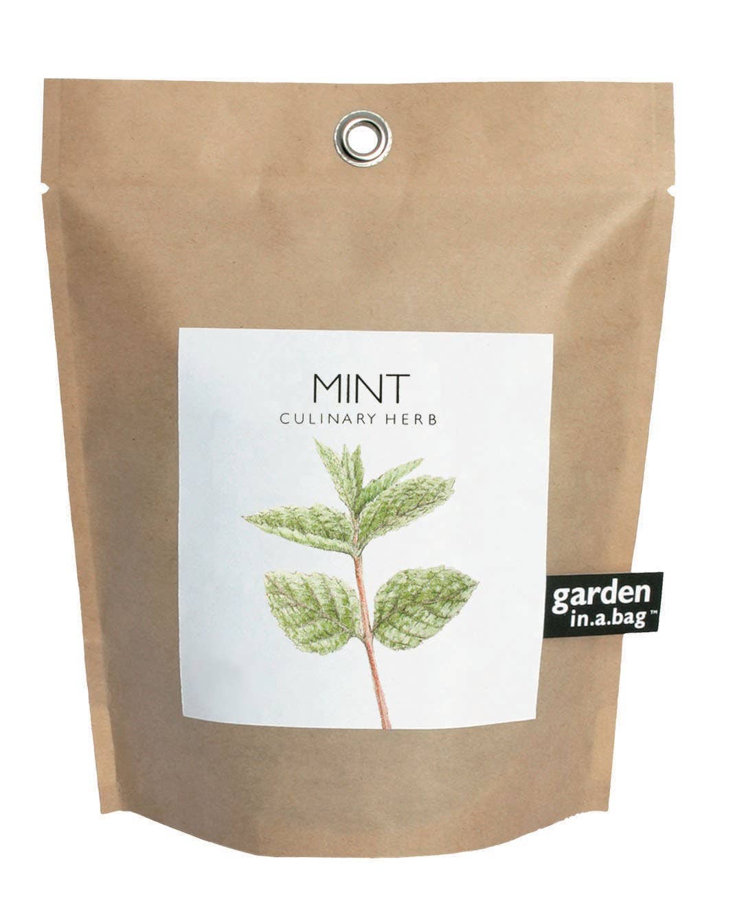 Potting Shed Creations, Ltd. - Garden in a Bag | Mint